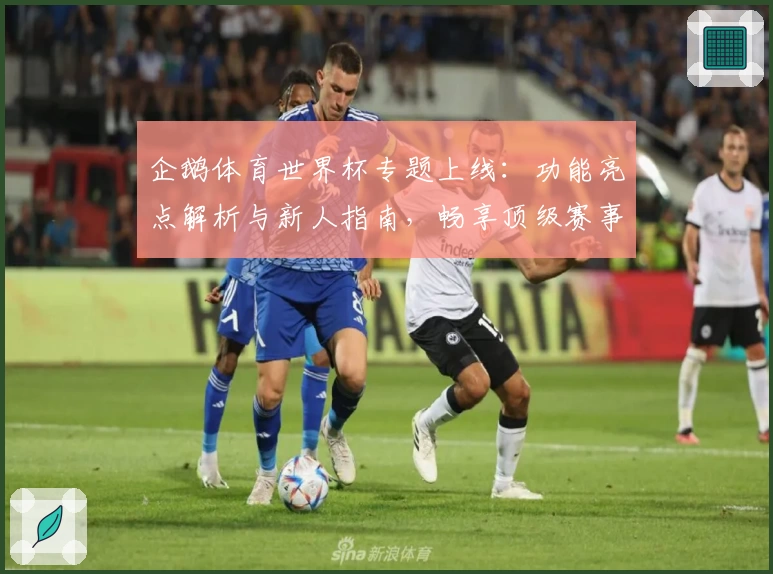 企鹅体育世界杯专题上线：功能亮点解析与新人指南，畅享顶级赛事体验