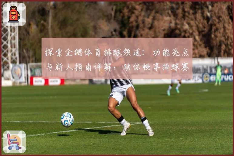 探索企鹅体育排球频道:功能亮点与新人指南详解,助你畅享排球赛事体验