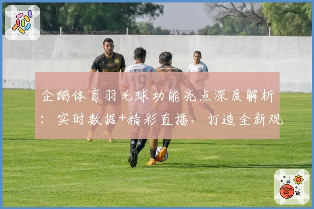 企鹅体育羽毛球功能亮点深度解析：实时数据+精彩直播，打造全新观赛体验
