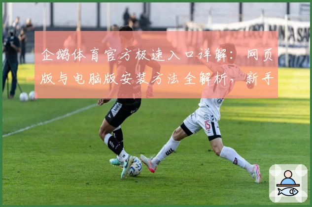 企鹅体育官方极速入口详解：网页版与电脑版安装方法全解析，新手必看使用指南