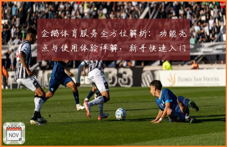 企鹅体育服务全方位解析：功能亮点与使用体验详解，新手快速入门教程