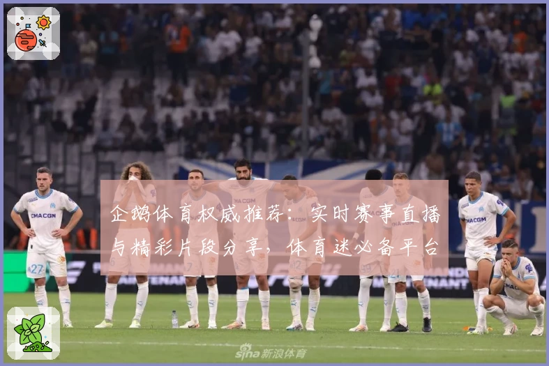 企鹅体育权威推荐:实时赛事直播与精彩片段分享,体育迷必备平台