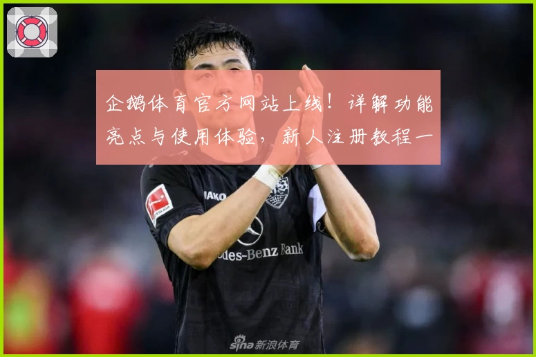 企鹅体育官方网站上线！详解功能亮点与使用体验，新人注册教程一步搞定