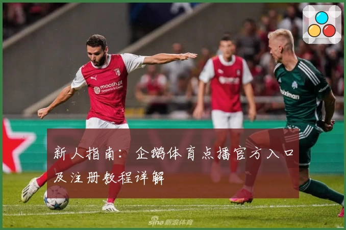 新人指南：企鹅体育点播官方入口及注册教程详解