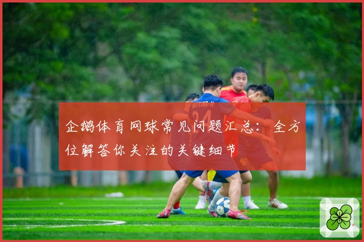 企鹅体育网球常见问题汇总：全方位解答你关注的关键细节