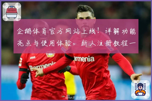 企鹅体育官方网站上线！详解功能亮点与使用体验，新人注册教程一步搞定